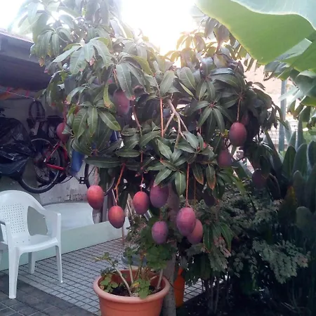 Eva Guest house Puerto De Mogan
