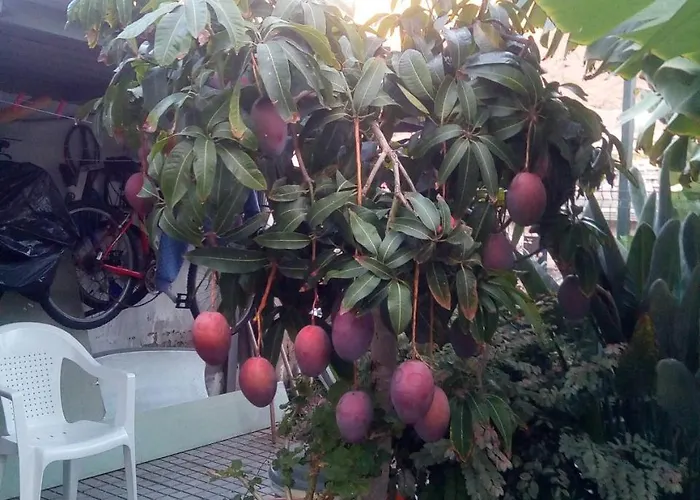 Eva בית הארחה פוארטו דה מוגן